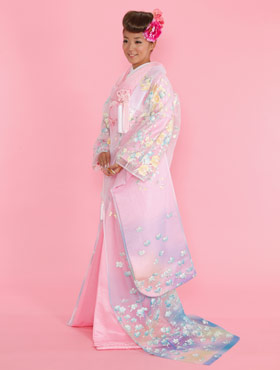 白地ぼかし金彩胡蝶蘭（004-010）
