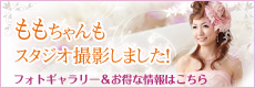 ももちゃんもスタジオ撮影しました！フォトギャラリー＆お得な情報ははこちら
