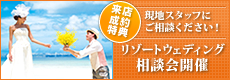 1月2月の特別開催!フェア限定特典付 リゾートウェディング現地スタッフ相談会