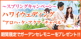 【期間限定】ハワイウェディング「スプリングキャンペーン」
