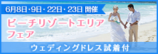 5/11、12ビーチエリアフェア