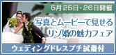 5/25、26写真とムービー
