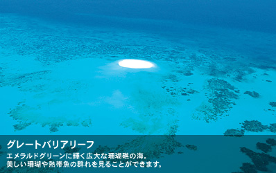 エメラルドグリーンに輝く広大な珊瑚礁の海。美しい珊瑚や熱帯魚の群れを見ることができます。