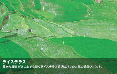 豊かな棚田がどこまでも続くライステラス巡りはバリの人気の絶景スポット。