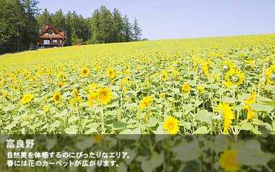 自然美を体感するのにぴったりなエリア。春には花のカーペットが広がります。
