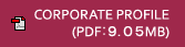 CORPORATE PROFILE