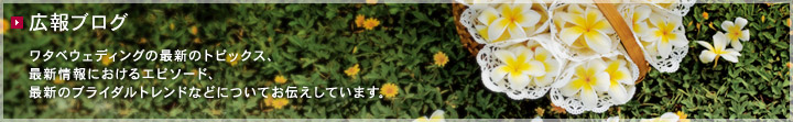 広報ブログ