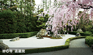 妙心寺　退蔵院