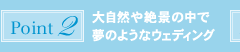 ポイント2：大自然や絶景の中で夢のようなウェディング