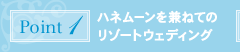 ポイント1:ハネムーンを兼ねてのリゾートウェディング