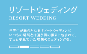 ブルーアステール Blue Aster
