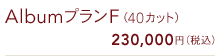 AlbumプランF(40カット) 230,000円(税込)