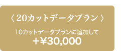 20カットデータプラン 10カットデータプランに追加して ＋￥30,000