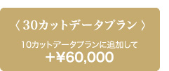30カットデータプラン 10カットデータプランに追加して ＋￥60,000