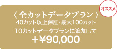 全カットデータプラン 40カット以上保証・最大100カット 10カットデータプランに追加して ＋￥90,000
