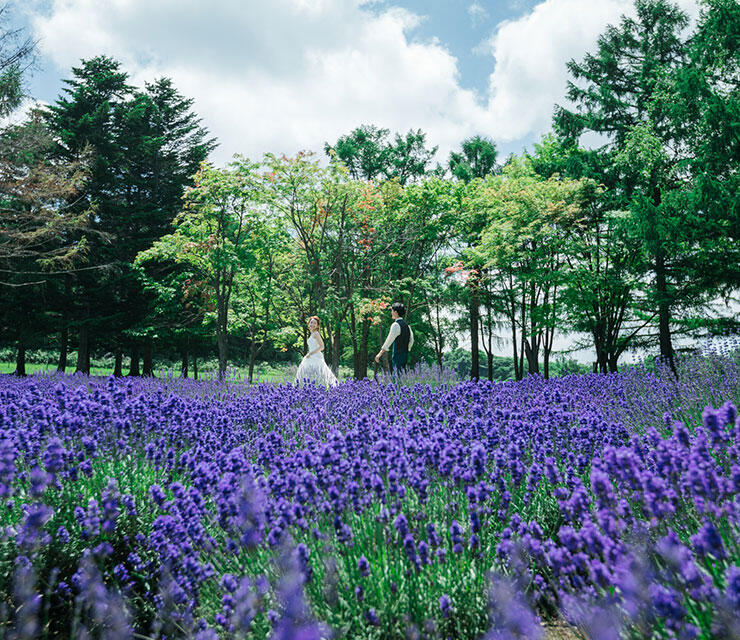 写真:北海道