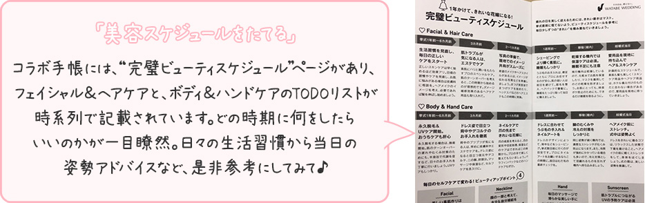 「美容スケジュールをたてる」コラボ手帳には、“完璧ビューティスケジュール”ページがあり、フェイシャル＆ヘアケアと、ボディ＆ハンドケアのTODOリストが時系列で記載されています。どの時期に何をしたらいいのかが一目瞭然。日々の生活習慣から当日の姿勢アドバイスなど、是非参考にしてみて♪