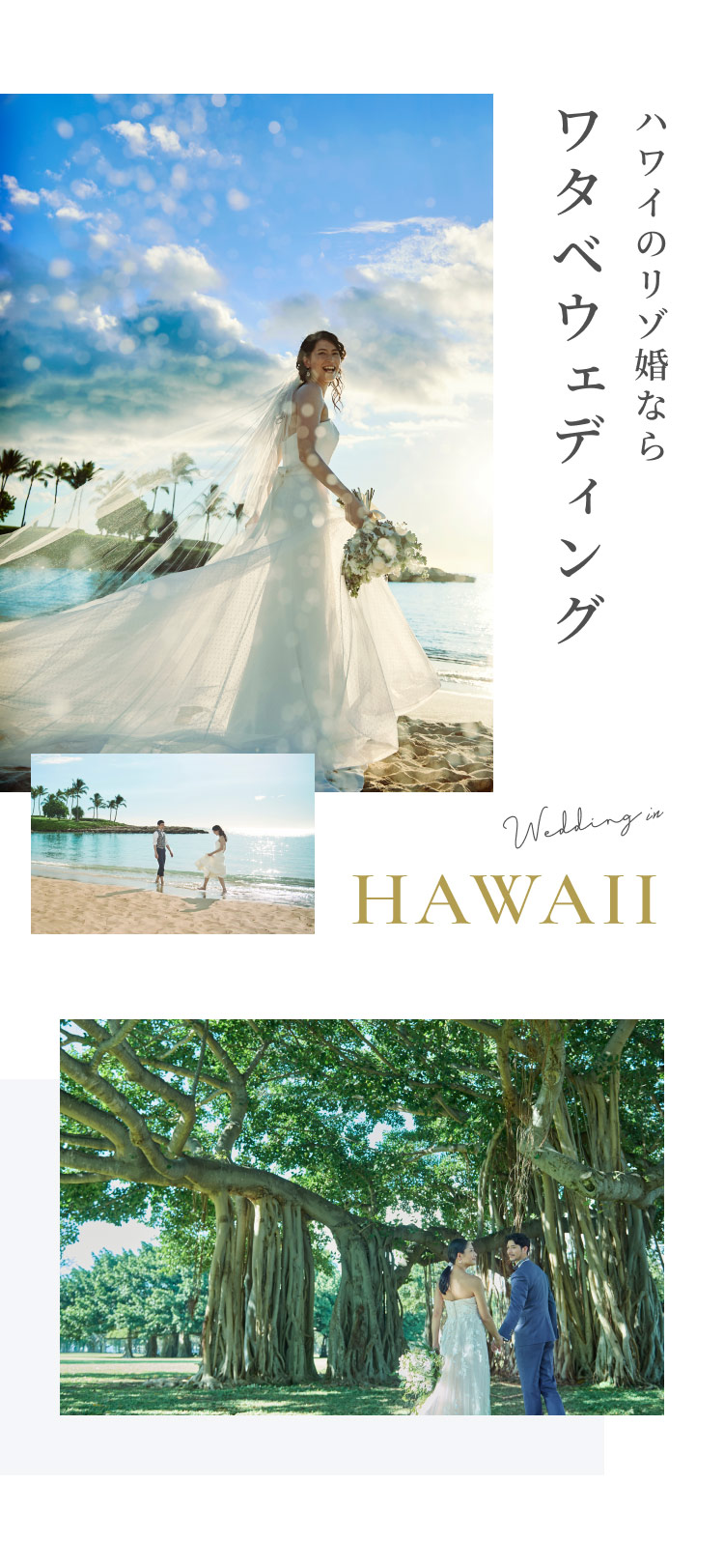 ハワイのリゾ婚ならワタベウェディング