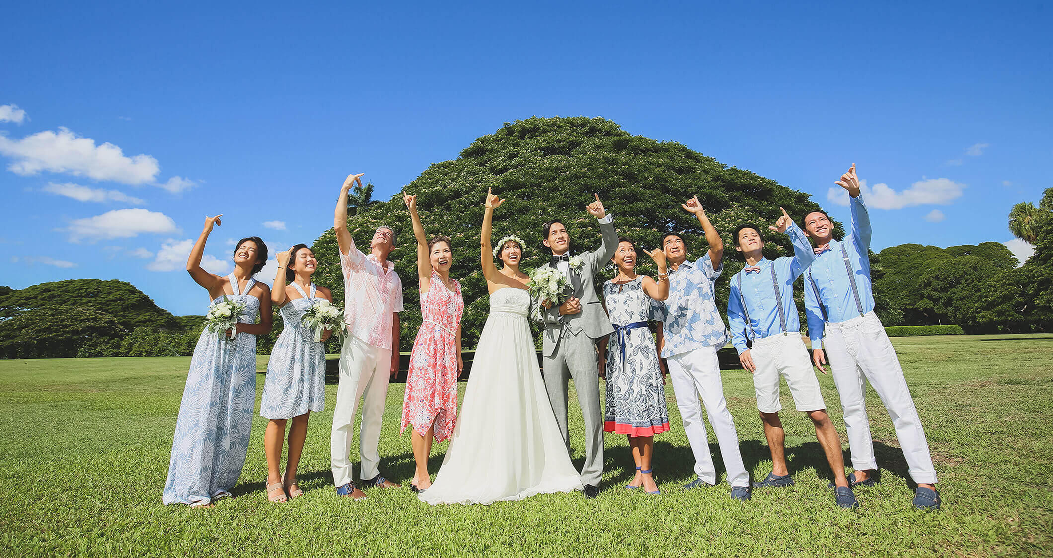 写真:シンボル「モンキーポッドの木」