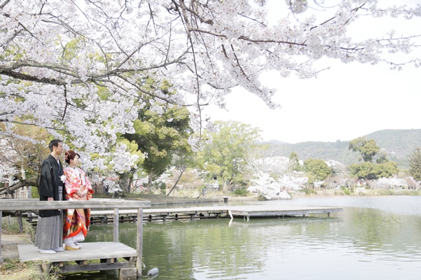 期間限定。春の訪れを告げる「桜」の名所・名刹で、一生に一度の特別なお写真を。
『桜ウェディングロケーションフォトプラン』
日比谷公園（東京）、三渓園（横浜）、徳川園（名古屋）、上賀茂神社（京都）、大阪城（大阪）、サッスーン邸（神戸）など7エリア15か所で