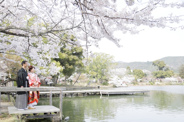 期間限定。春の訪れを告げる「桜」の名所・名刹で、一生に一度の特別なお写真を。
『桜ウェディングロケーションフォトプラン』
日比谷公園（東京）、三渓園（横浜）、徳川園（名古屋）、上賀茂神社（京都）、大阪城（大阪）、サッスーン邸（神戸）など7エリア15か所で