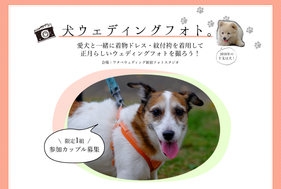 来年は「戌（いぬ）年」！幸せの干支フォト年賀状でごあいさつ
「犬ウェディングフォト」参加カップル募集！
- 人気書家 岡西佑奈さんによるオリジナルの“書”を背景に愛犬と一緒に撮影しよう‐
