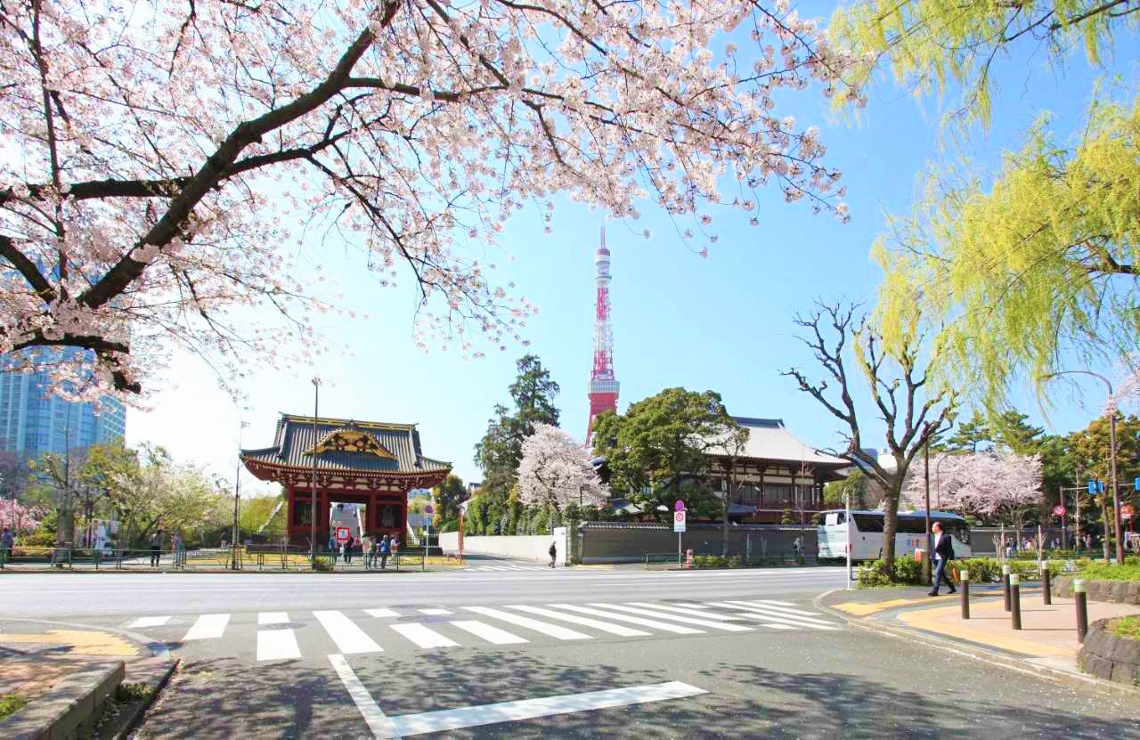 平成最後の桜フォトを投稿して、ディナーチケットを当てよう！
「#メルパルク東京桜フォトキャンペーン」in芝公園 実施
～桜の季節到来！3月15日（金）から4月15日（月）まで募集～