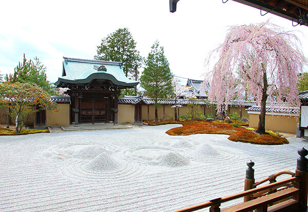 写真:高台寺