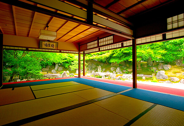 写真:圓徳院