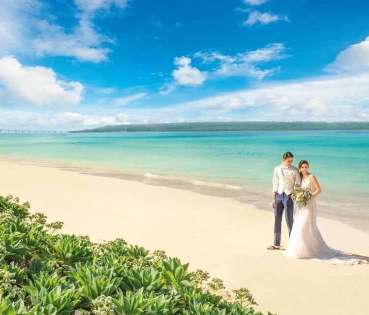 沖縄 アラマンダフォトプラン④