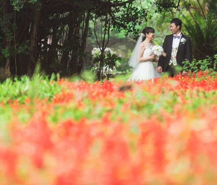 沖縄 アラマンダフォトプラン⑦