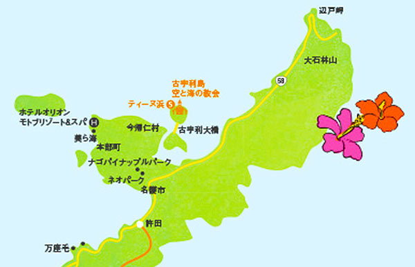 沖縄本島北部エリア