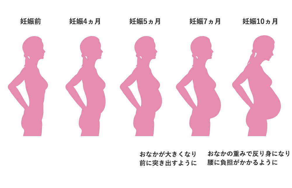 妊娠期間と体型変化の目安