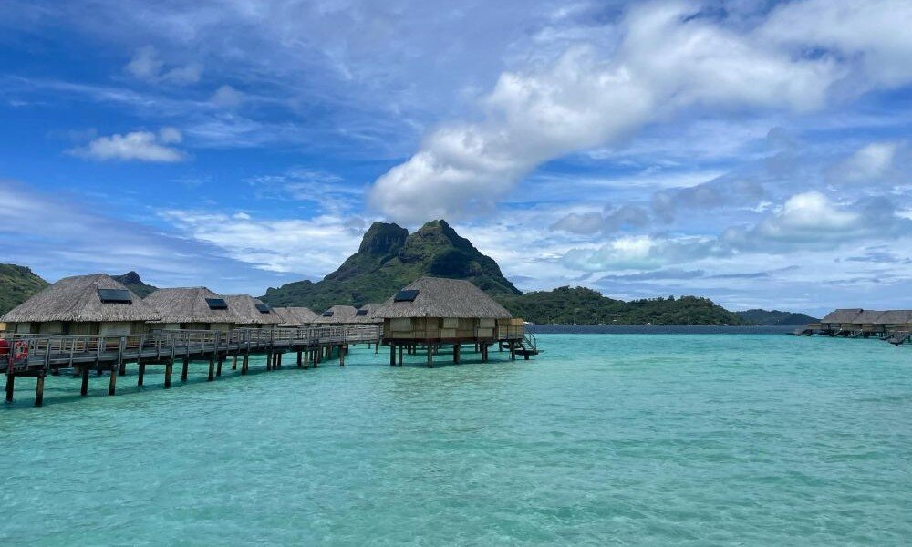 MALDIVES & TAHITI 
					
					        
                    モルディブ・タヒチ