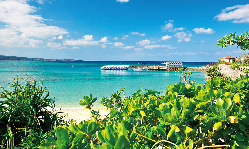 OKINAWA 
					
					        
                    沖縄