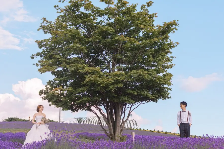 富良野・日の出公園