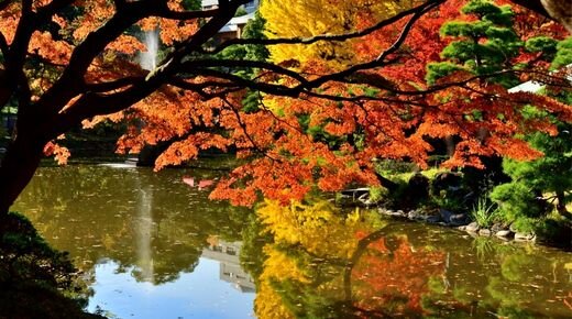 東京（日比谷・竹芝）の魅力（2枚目）