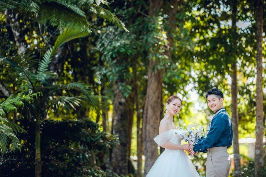 写真:キュランダ＆コアラフォトプラン