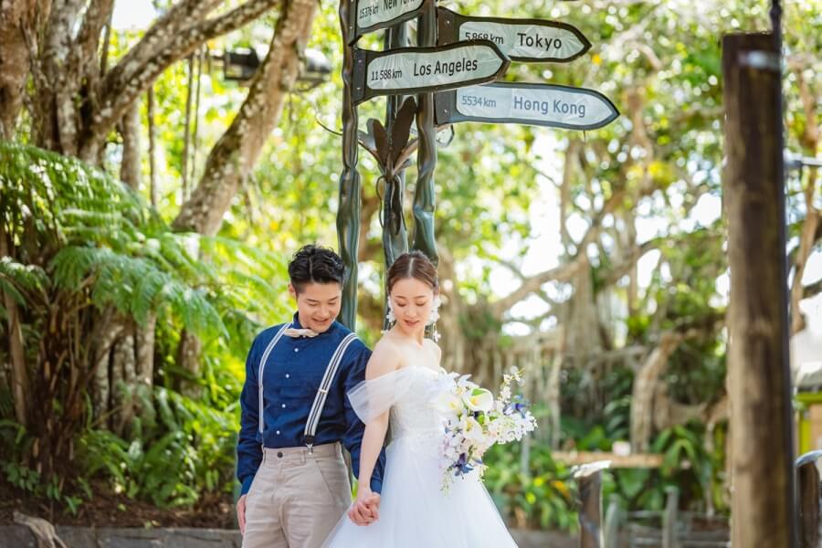 写真:キュランダ＆コアラフォトプラン