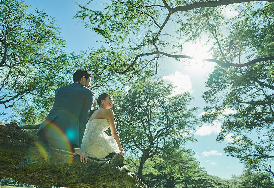 写真:フォトギャラリー