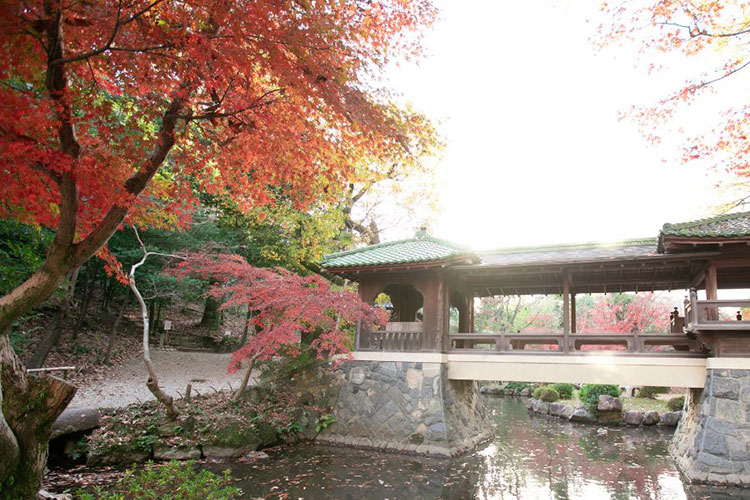 揚輝荘でのフォトウェディング・前撮り（和装）