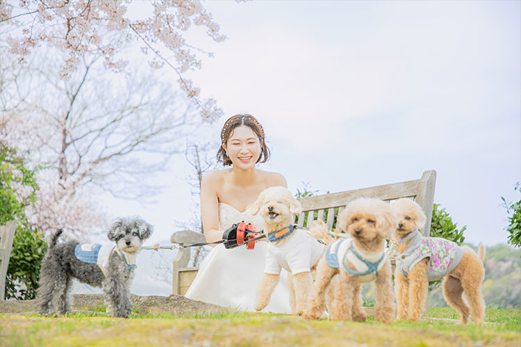 フォトウェディング犬3