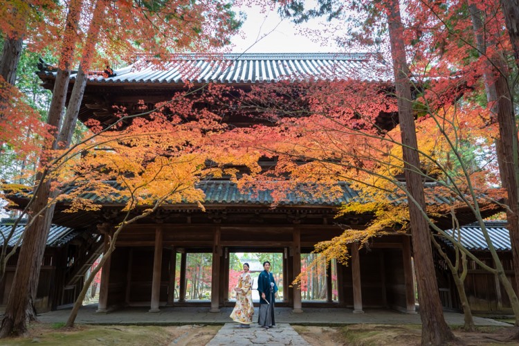 紅葉のフォトウェディング1