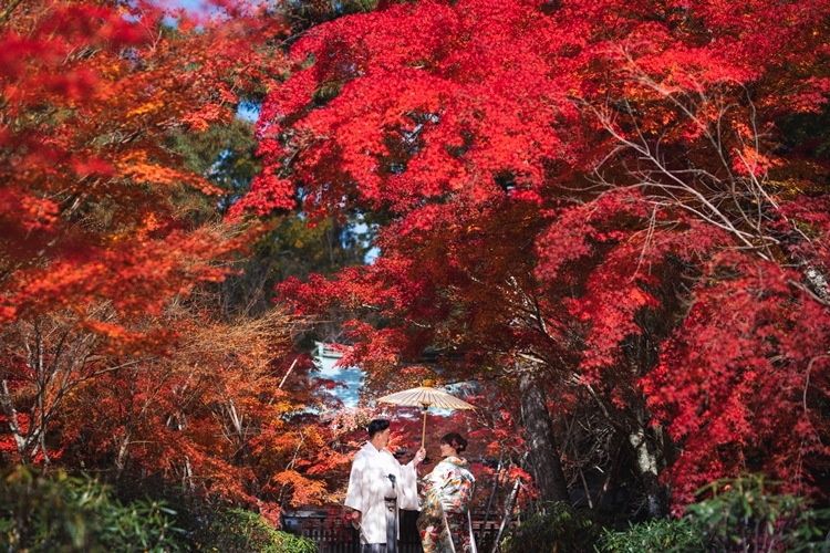 紅葉のフォトウェディング4