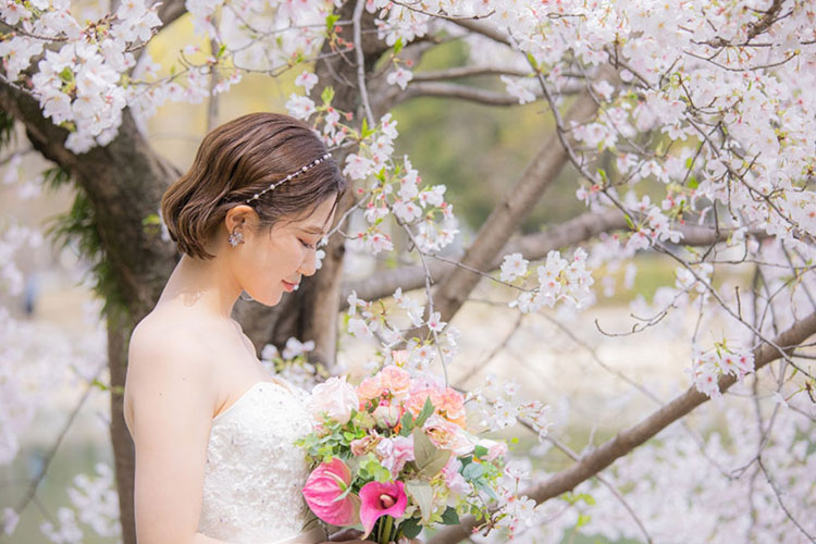 フォトウェディング桜6