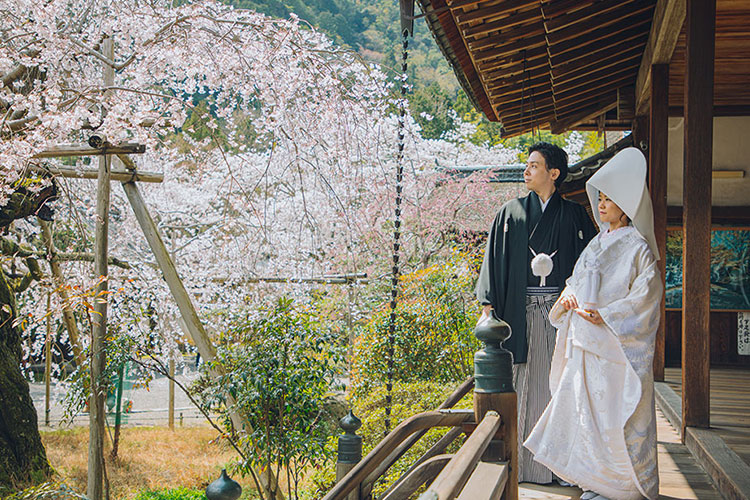 フォトウェディング桜7