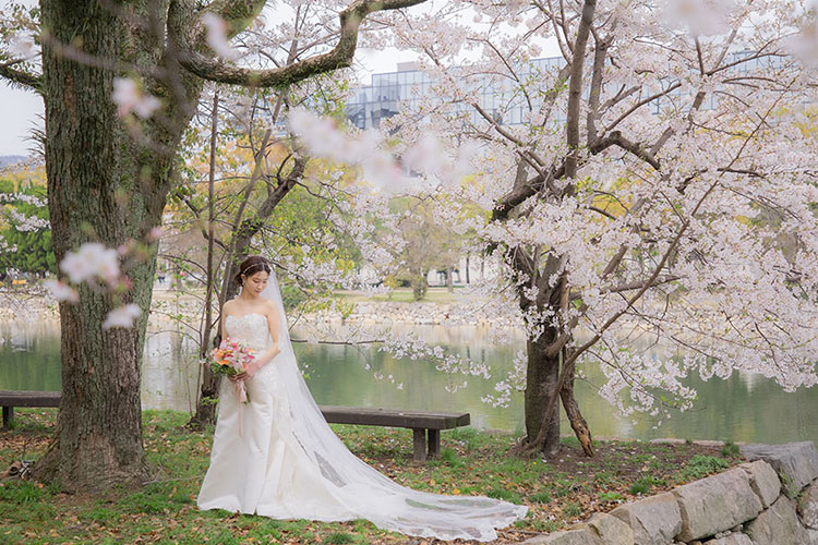フォトウェディング桜12