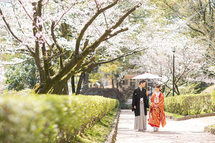 フォトウェディング桜13