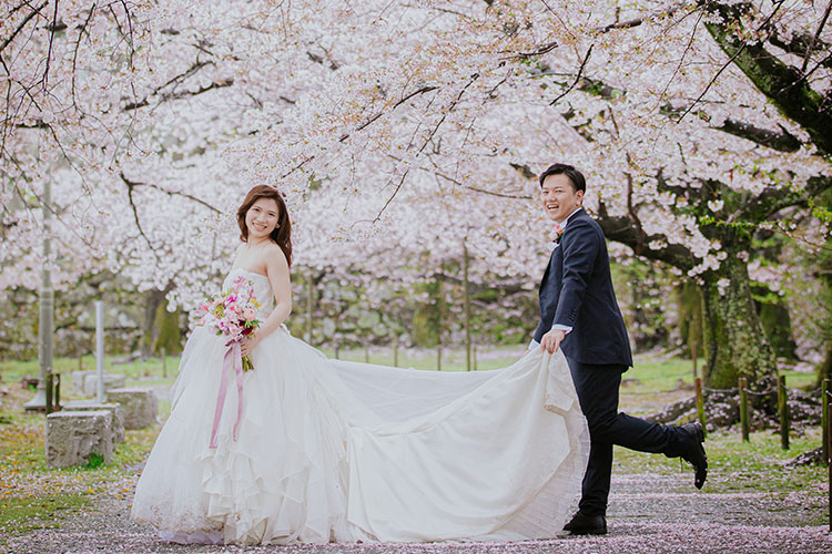 フォトウェディング桜14