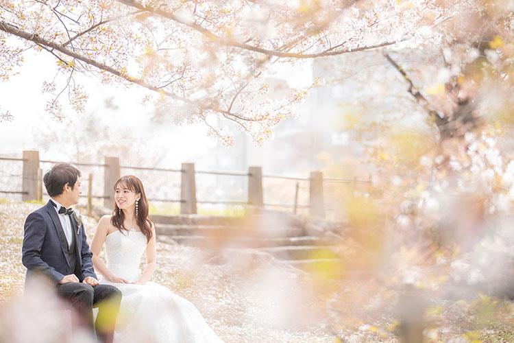 フォトウェディング桜18